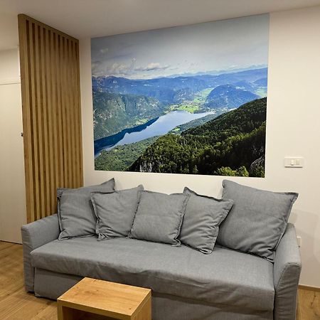 Apartma Tisa Bohinj-No Ouside Windows Exterior photo