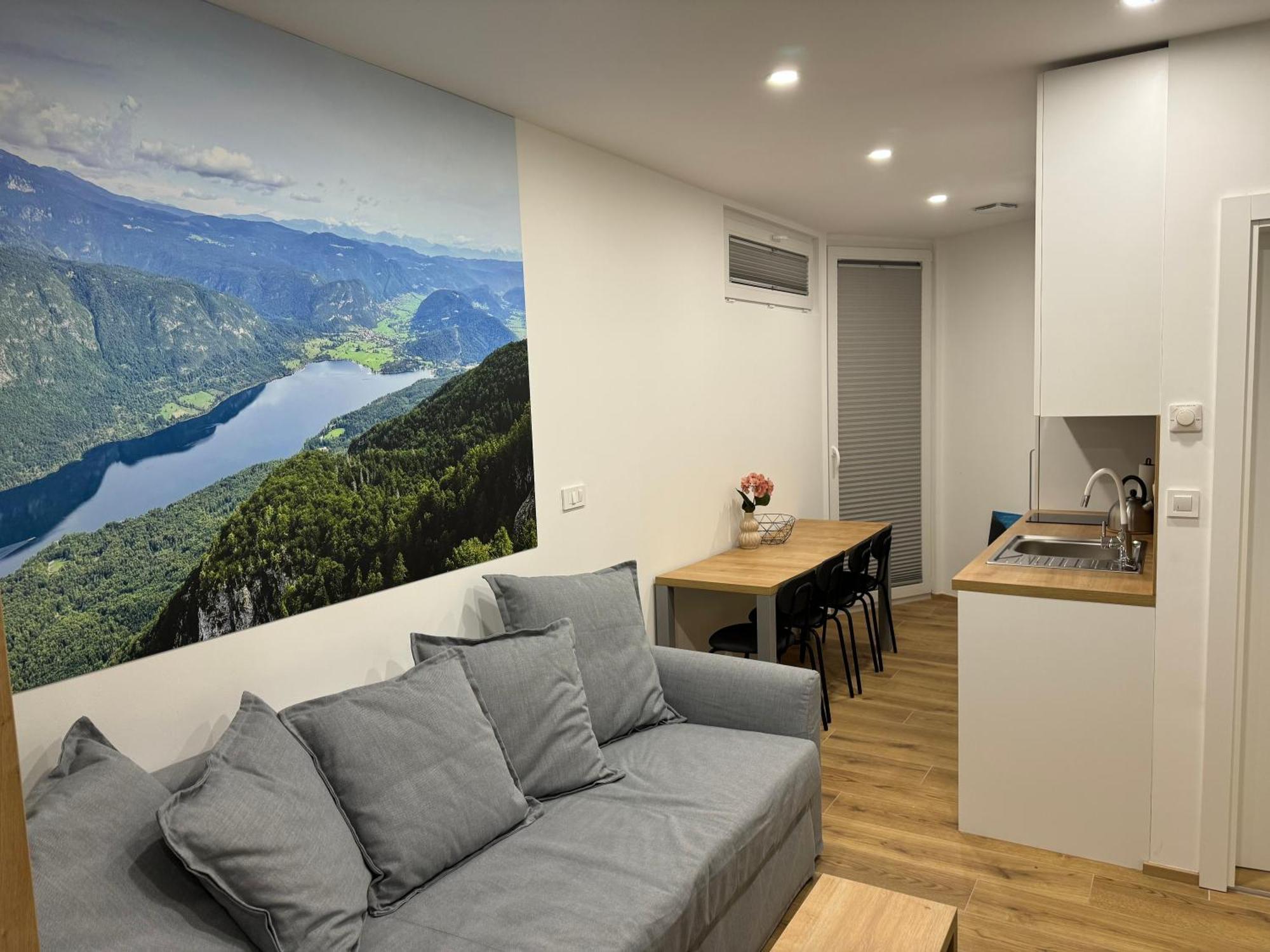 Apartma Tisa Bohinj-No Ouside Windows Exterior photo